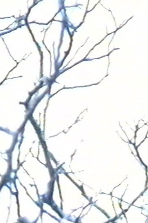 Stereo #0 - 30 drones for television - Drone 15