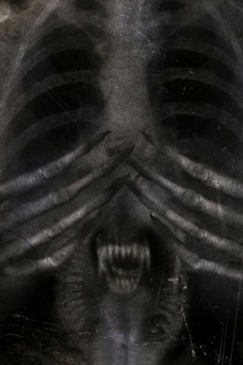 Pòster de Alone in the Dark Collection