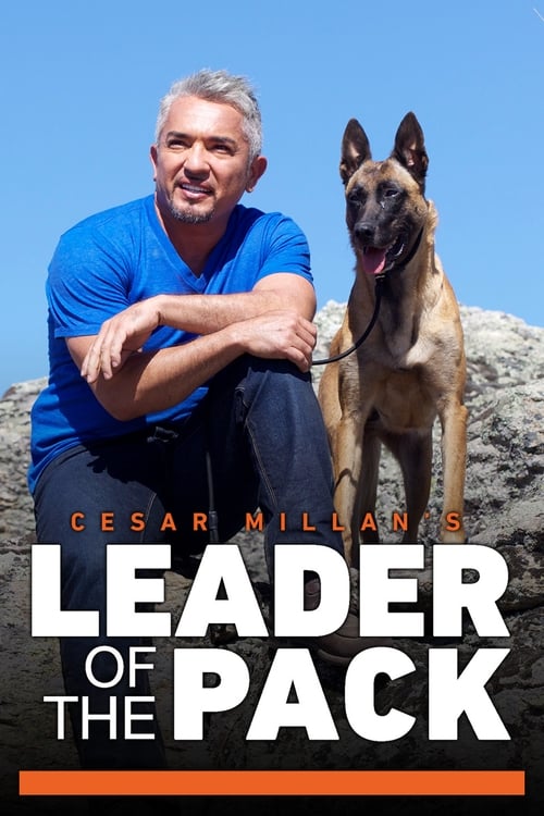 Where to stream Cesar Millan's Leader of the Pack