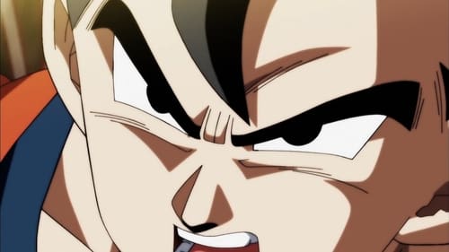 Dragon Ball Super: 1×124