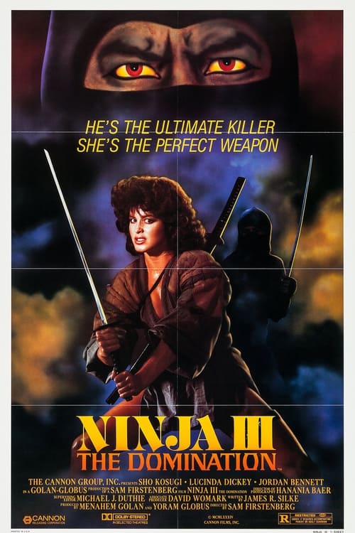 Image Ninja III: La dominación