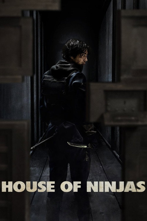 Poster von House of Ninjas