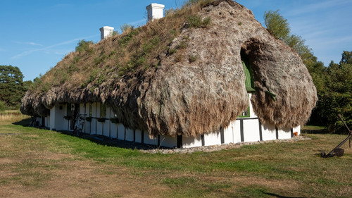 Læsø: Denmark's Last Seagrass Roofs