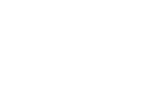 Body Cam