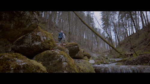Semikolon - Schizophrenie für immer Backdrop Blur