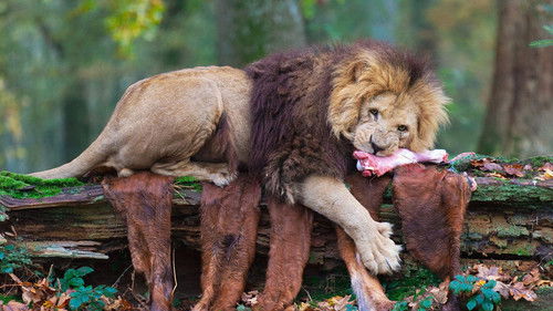 Image de l'épisode 3