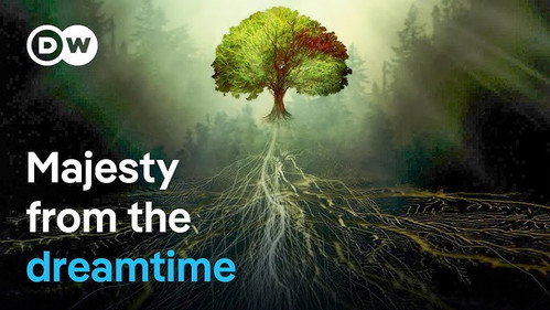 Australia's king eucalyptus