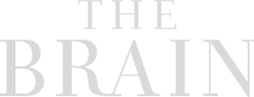 The Brain with David Eagleman