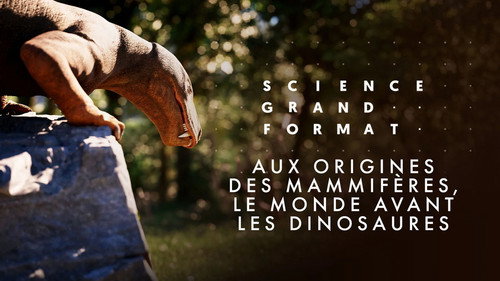 Image Aux origines des mammifères, le monde avant les dinosaures
