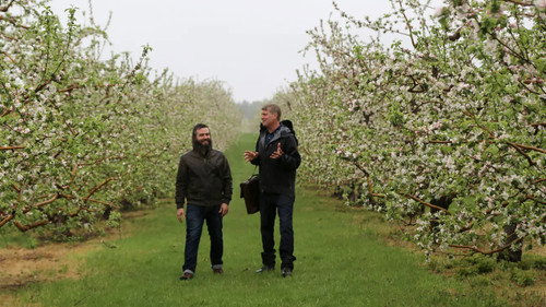 How 'Bout Them Apples