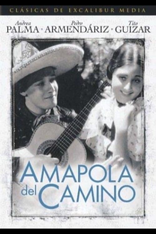 Amapola Del Camino poster