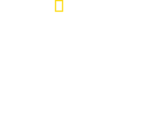 Das Reich: Hitler's Death Squads