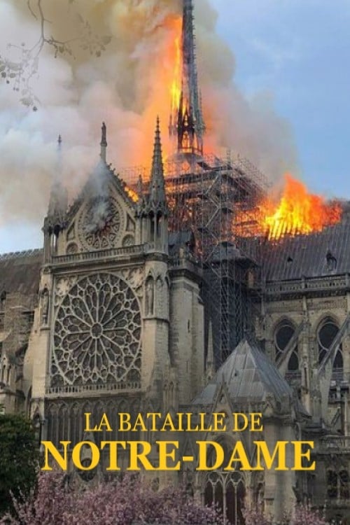 Poster La bataille de Notre-Dame 2019