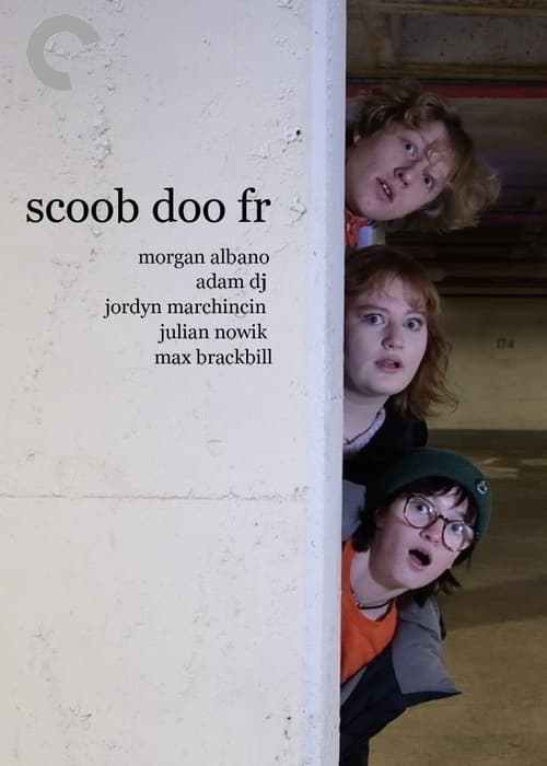 Poster scoob doo fr 