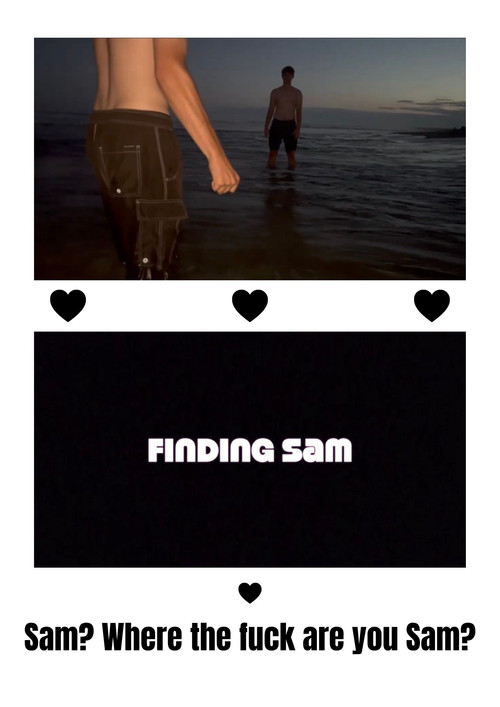 Finding Sam