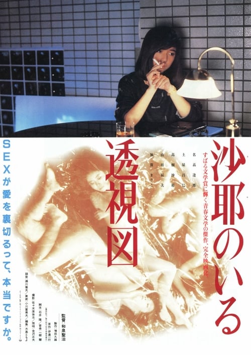 沙耶のいる透視図 (1986)