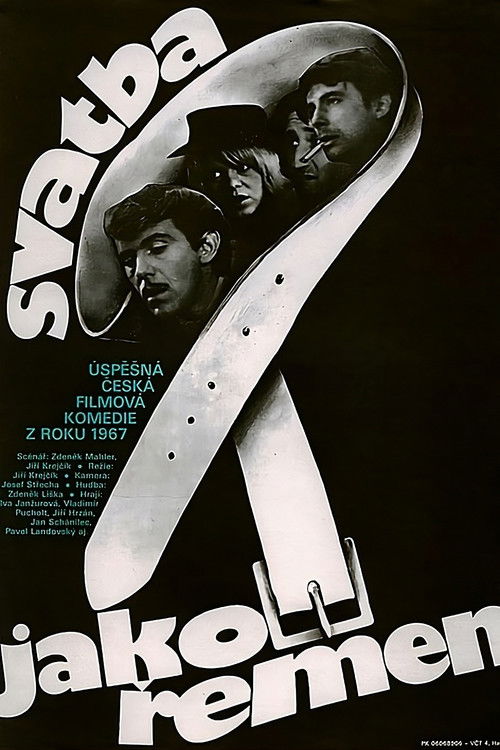 The Unfortunate Bridegroom poster