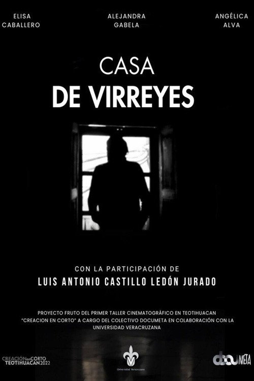 Casa de Virreyes