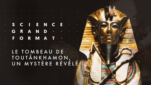 Image Le tombeau de Toutankhamon, un mystère révélé