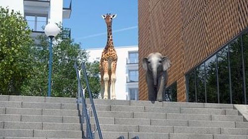 Image de l'épisode 28
