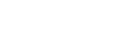 Prison Chronicles