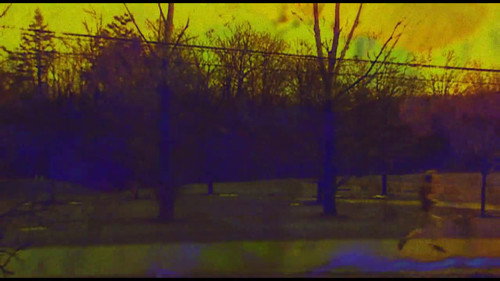 Joose Psychedelia Test