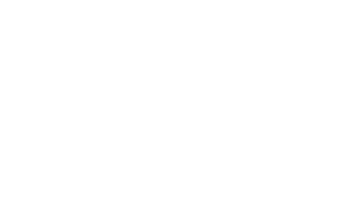 The Alabama Solution