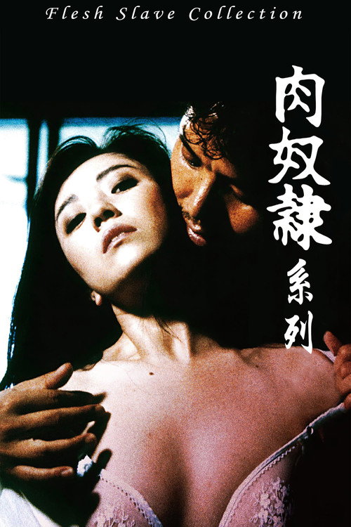肉奴隶（系列）海报