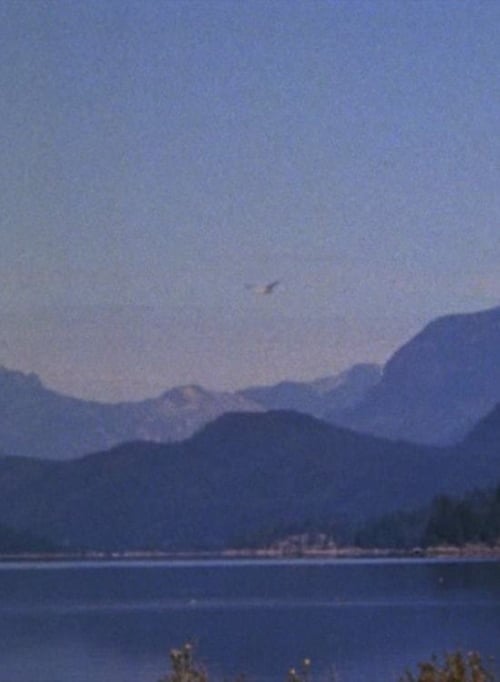 Landscape (1969)