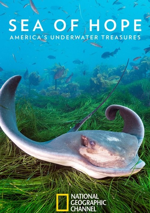 Sea of Hope: America's Underwater Treasures 2017