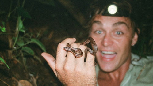 Snakes and Surf Breaks Backdrop Blur