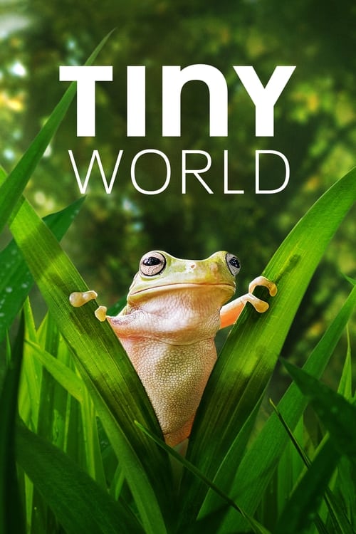 Where to stream Tiny World