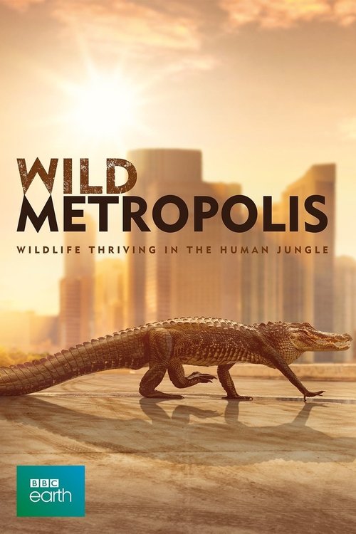 Wild Metropolis (2019)