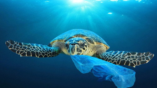 Plastic partout - Histoires de déchets Backdrop Blur