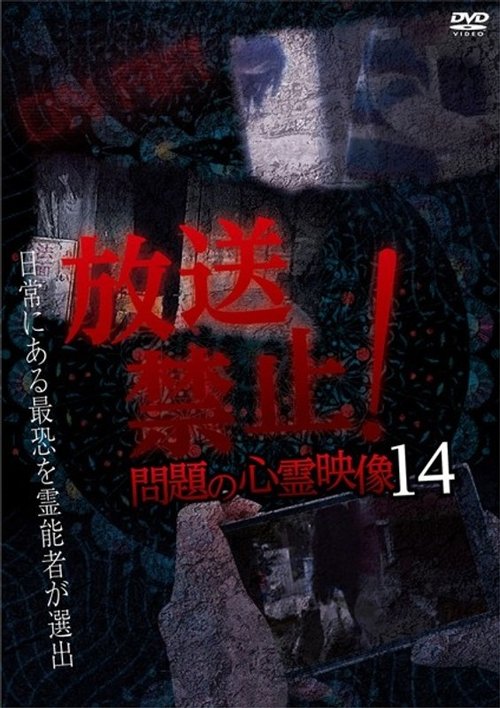 放送禁止!問題の心霊映像 14