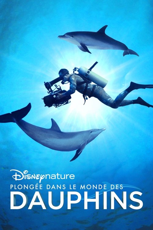 Plongée dans le Monde des Dauphins