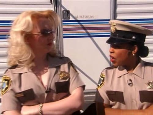 Poster della serie Reno 911!