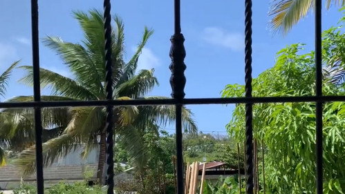 Puerto Plata Backdrop Blur