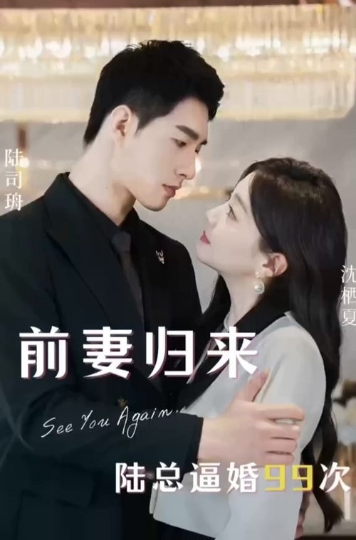前妻歸來陸總逼婚99次