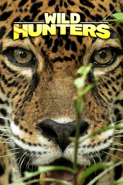 Poster Wild Hunters