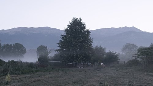 The Last Nomad image 5