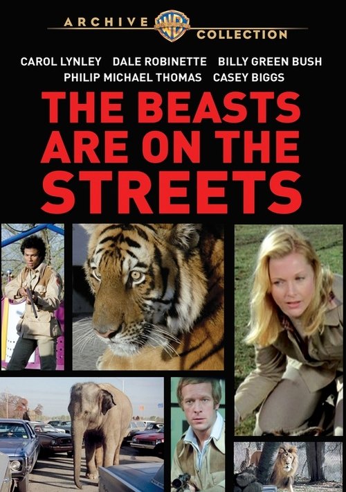Poster 4