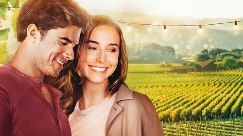 [NETFLIX] A California Christmas (2020) คริสต์มาสแคลิฟอร์เนีย