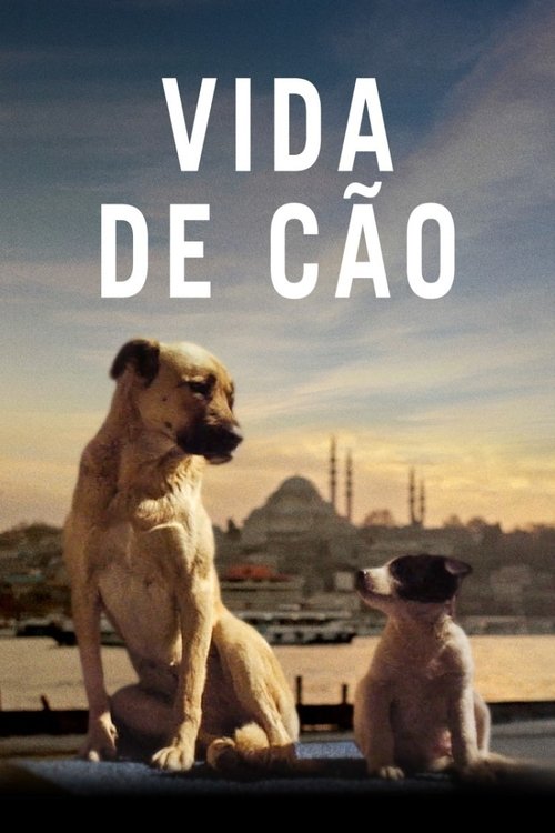 Pôster de Vida de Cão