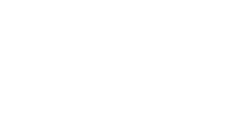 Step Up Revolution