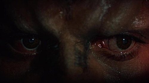 Image du film