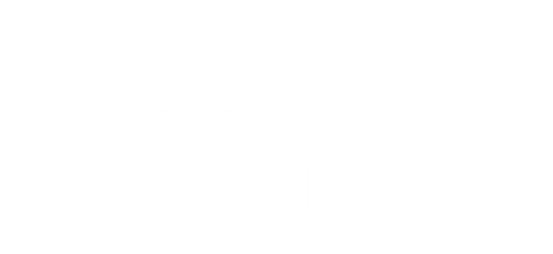 Vita da gatto official logo