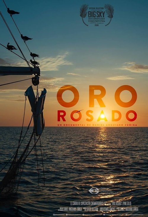 Oro rosado movie poster player