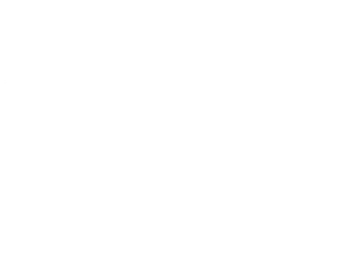 Ladies & Gentlemen... 50 Years of SNL Music