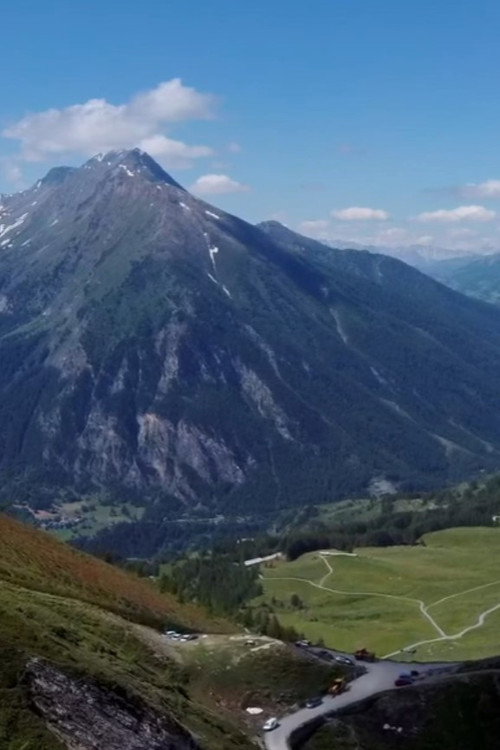 Campioni di biodiversità
